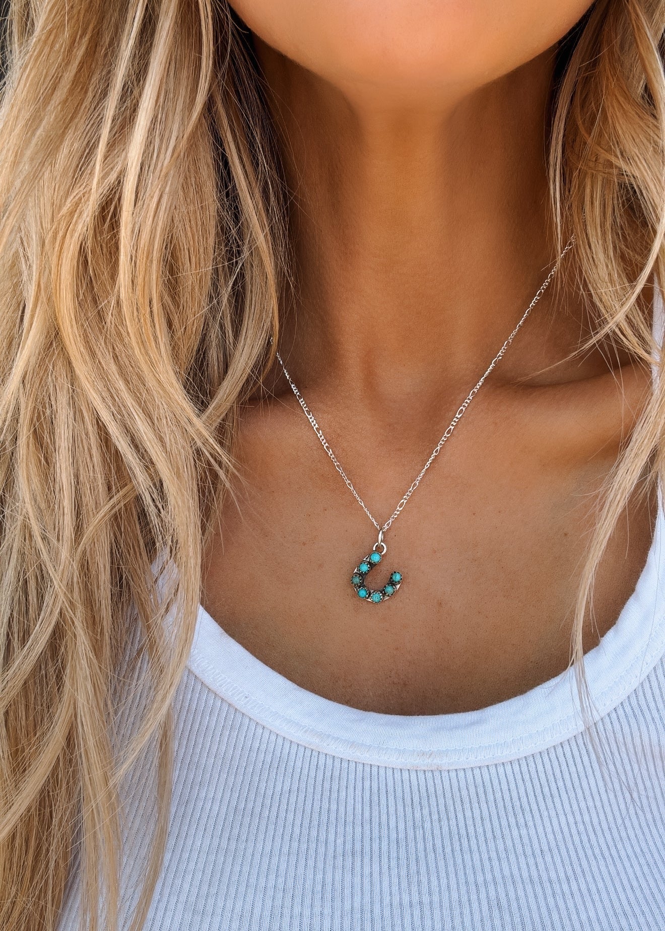 47 Horseshoe Necklace