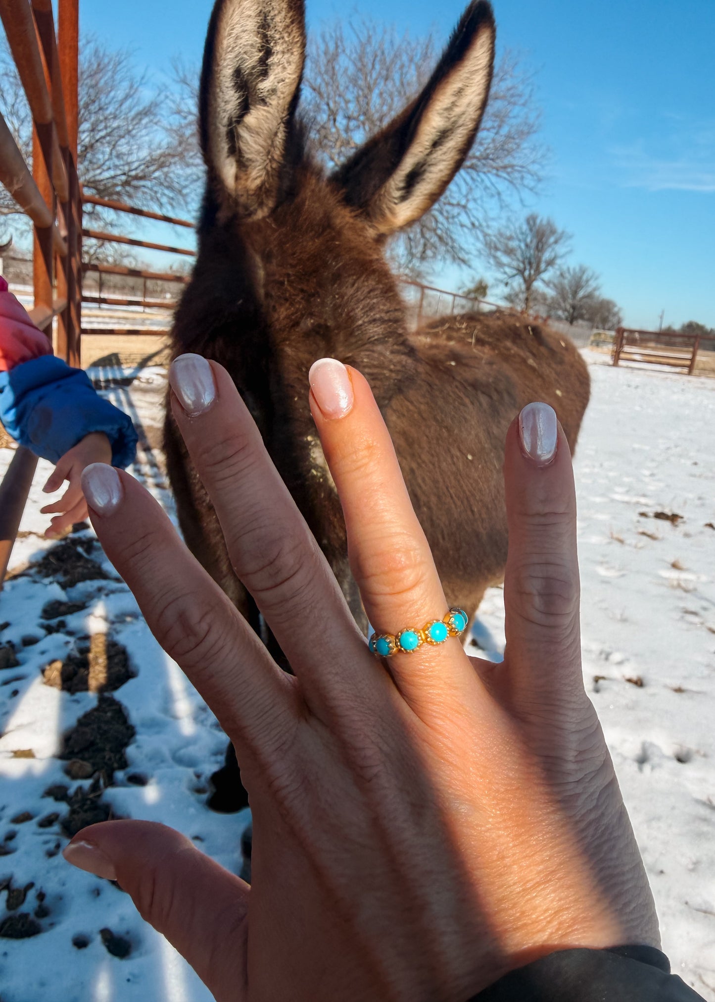 Rosewood Ring - Turnback Pony ™ - Ring