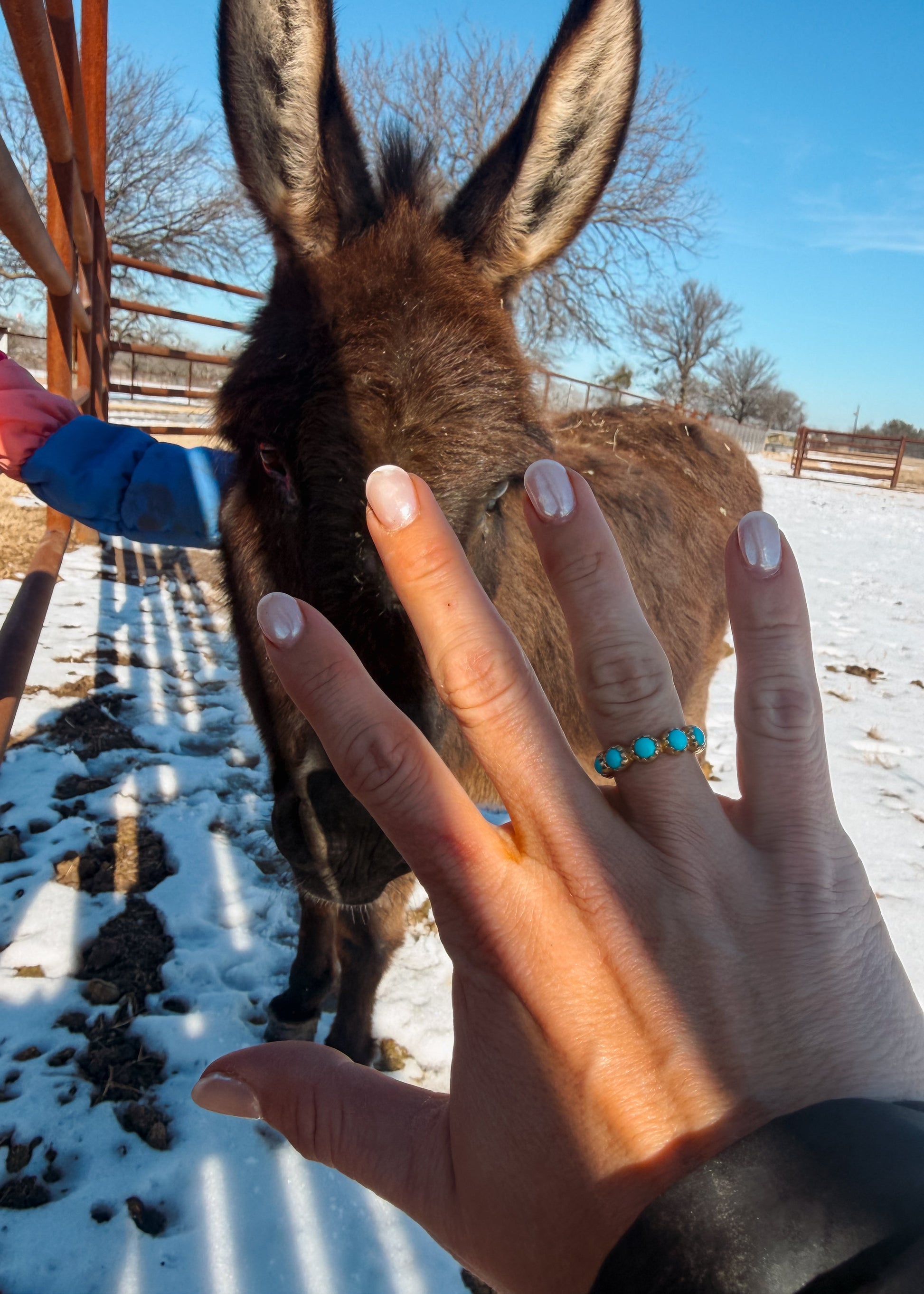 Rosewood Ring - Turnback Pony ™ - Ring